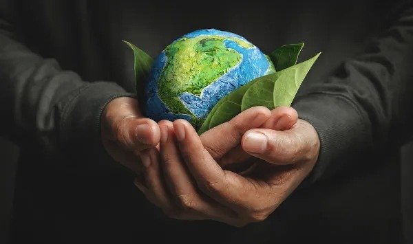Sustentabilidade corporativa: Especialista sugere algumas dicas sobre como alcançar a sustentabilidade no seu negócio