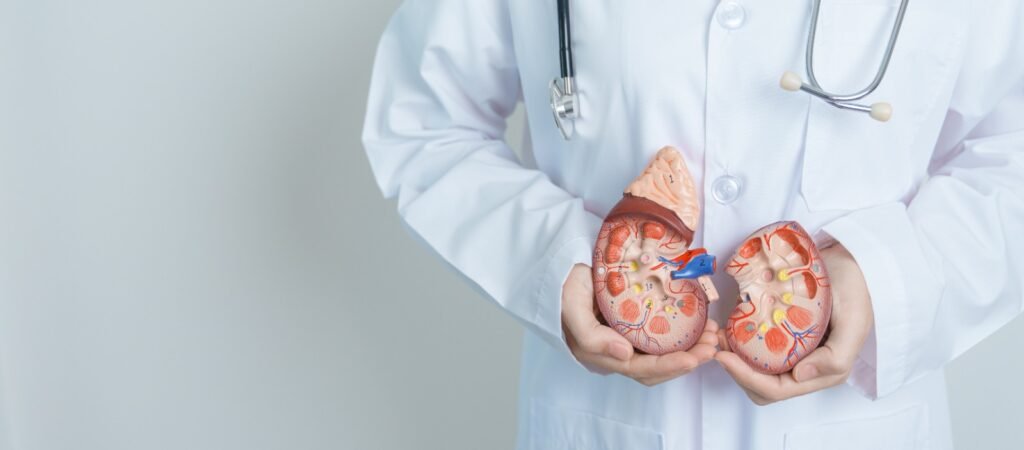 Cerca de 15% da população mundial vive com algum tipo de doença renal