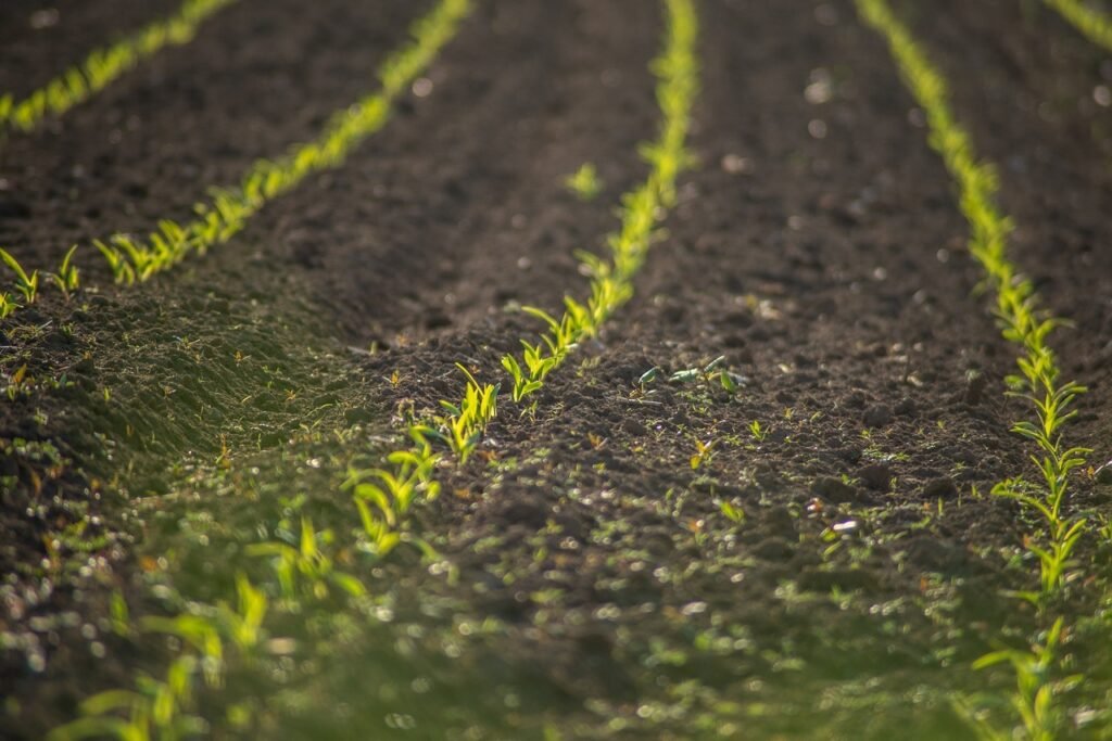 Fundace realiza fórum de contabilidadee tesouraria no agronegócio