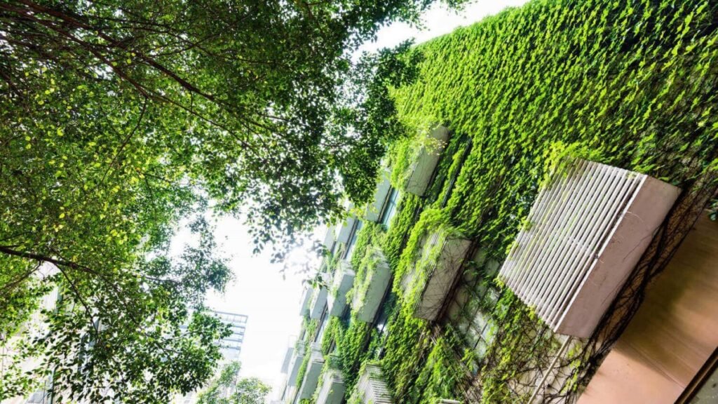 O papel do desenvolvimento urbano sustentável na diminuição dos efeitos das mudanças