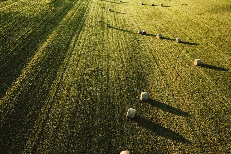 Agrishow impulsiona economia de Ribeirão Preto e região com expectativa de movimentação bilionária