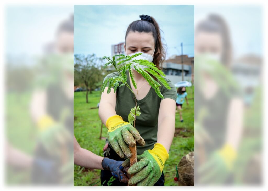 Projeto ArboreSer encerra temporada2024/2025 com números expressivos