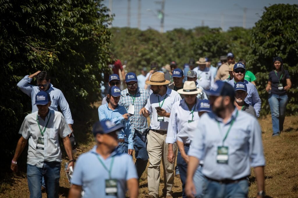 Franca sedia Dia de Campo da Fundação Procafé com foco em tecnologia e manejo no cafezal