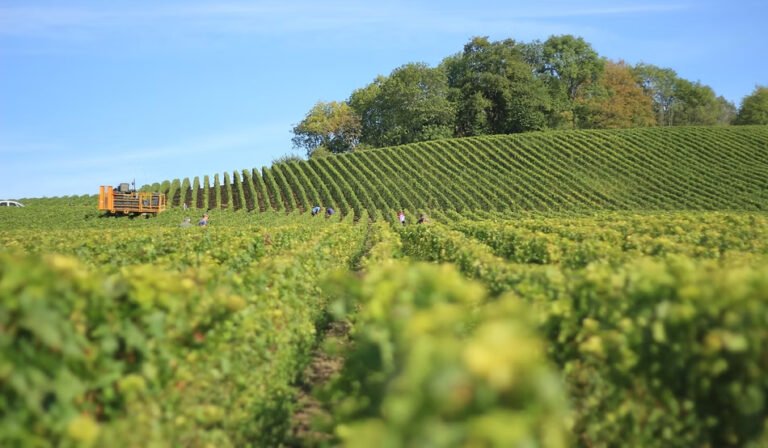 Cyan Analytics e AgroNational anunciam fusão para fortalecer o agronegócio brasileiro