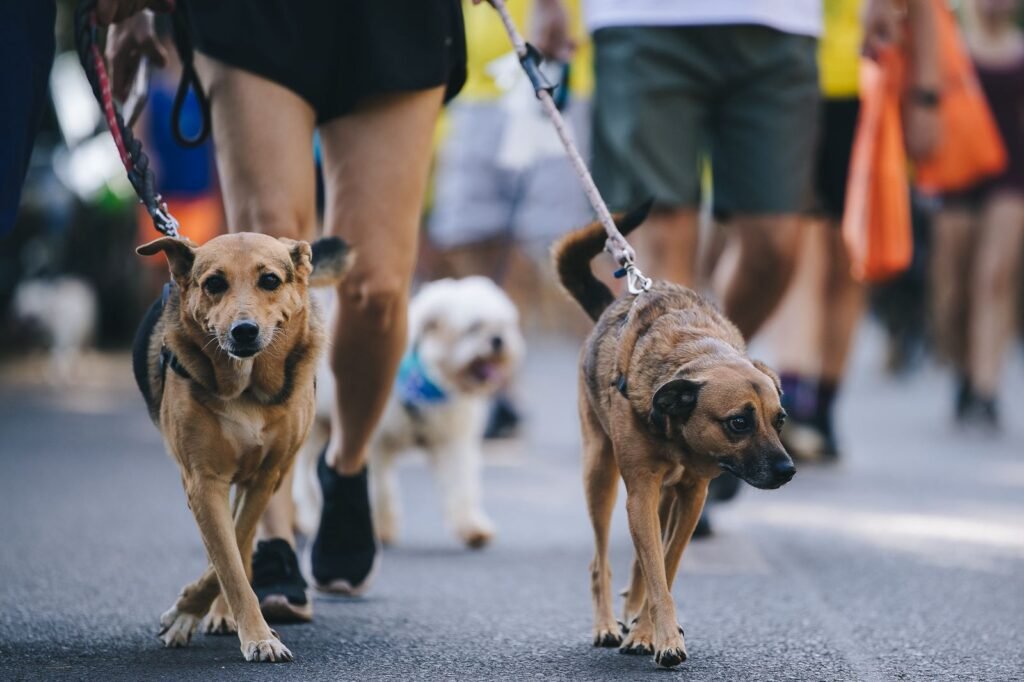 ShoppingSantaÚrsula é ponto de encontro da 2ª Cãominhada, em Ribeirão Preto