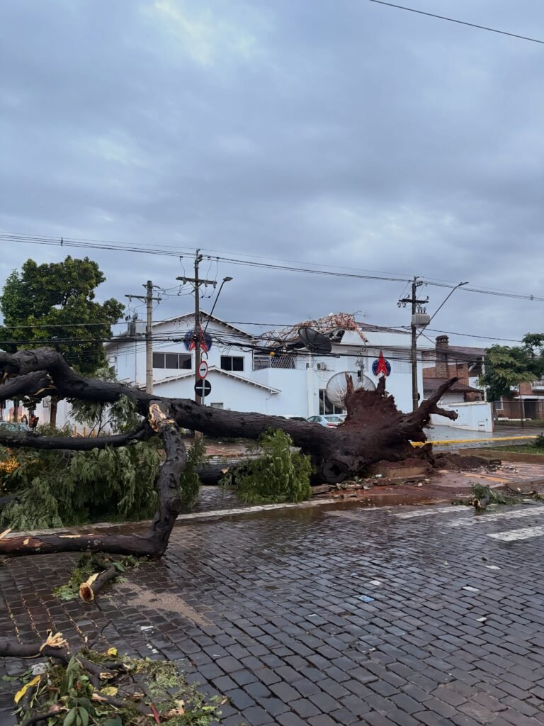 Temporal com ventos de 120 km/h derruba torres de transmissão, deixa bairros sem energia e causa destruição em Ribeirão Preto