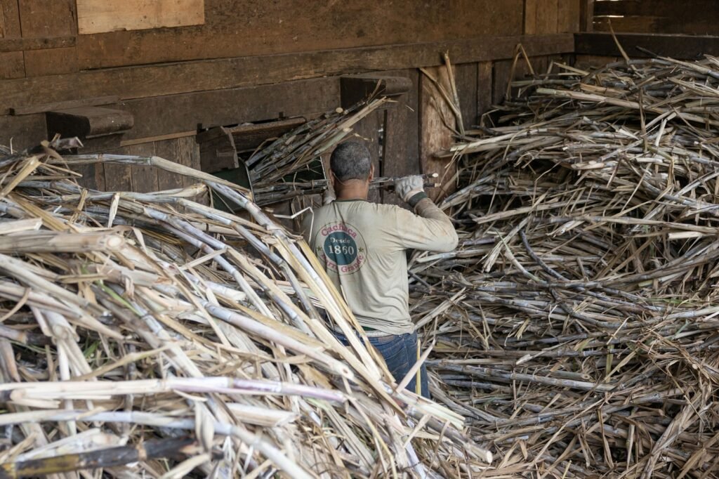 Fazenda Barra Grande celebra tradição histórica no Dia Nacional da Cachaça